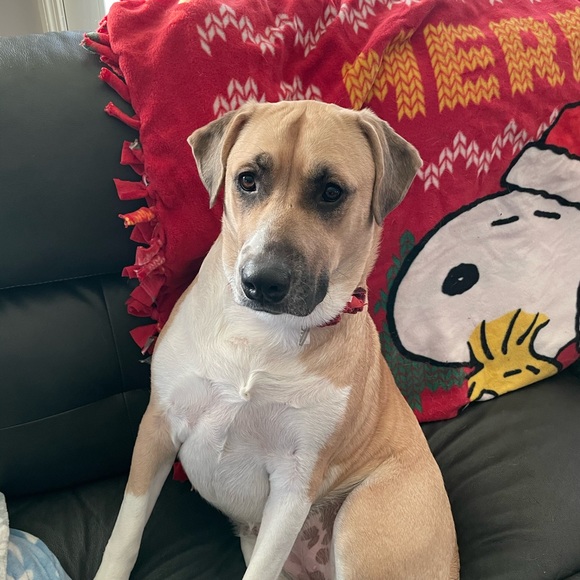 Meet your Posher, Amanda - Picture 9 of 9